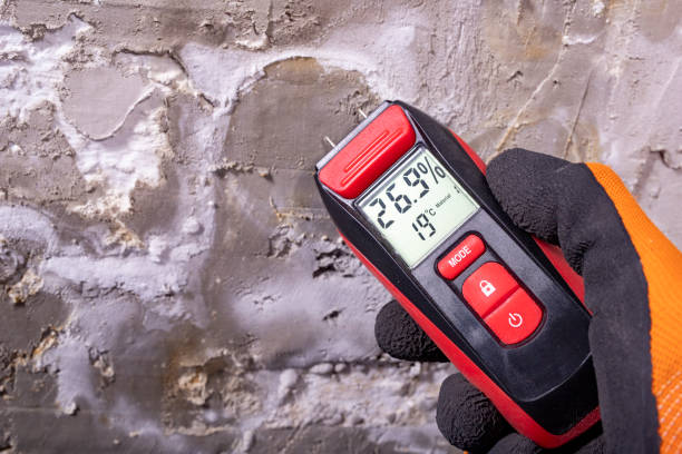 Best Mold Testing  in Doe Valley, KY